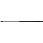 Lift Support Strong Arm 6157. Fixed Price $19.14.