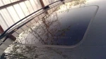 Roof Glass 164 Type ML350 Fits 06-11 Mercedes Ml-class 359345. Fixed Price $150.00.