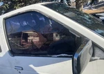 1987 1997 Nissan Truck Oem Front Rignt Door Glass. Fixed Price $75.00.