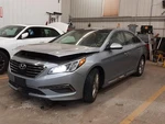Sunroof For Sonata Complete Glass With Mid. Fixed Price $449.99.