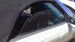 Passenger Right Front Door Glass Fits 02-05 Thunderbird 30482239. Fixed Price $125.46.