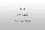 39WX57DNITE/DAYSHADE Is/mt Cotton/alabaster 1. Fixed Price $90.49.