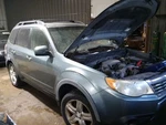 Passenger Rear Door Glass With Privacy Tint Fits 09-13 Forester 2141095. Fixed Price $137.75.