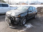 Driver Left Quarter Glass Light Tint Fits 22-24 Tucson 1108009. Fixed Price $125.00.