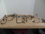 2004 Ford Focus Lamp Taillight Wire Wiring ZX3 ZX5 Hatchback. Fixed Price $60.00.