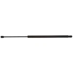 Liftgate Support Strong Arm 4202. Fixed Price $34.28.