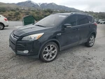 Right Blk Front Door Assembly Oem 13-15 Ford Escape. Fixed Price $162.00.