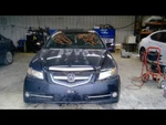 Roof Glass Fits 07-08 Tl 781677. Fixed Price $220.00.
