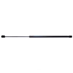 Back Glass Lift Support Strong Arm 4576. Fixed Price $46.99.
