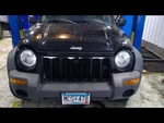 Passenger Rear Door Glass Privacy Tint Thru 3/15/06 Fits 02-06 Liberty 290012. Fixed Price $125.01.