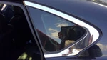 Driver Left Quarter Glass Fits 14-19 Infiniti Q70 350970. Fixed Price $80.00.