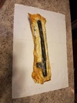 Nos Gm Part No.: 22612648 Retainer Asm-rear Side Door Window Channel Lower Front. Fixed Price $12.00.