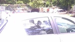 Passenger Right Rear Door Glass Hatchback Fits 12-19 Yaris 25560. Fixed Price $85.00.