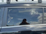 2010-2016 Kia Sportage Driver Left Rear Side Window Door Glass Oem Back. Fixed Price $135.00.
