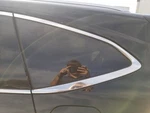 22-23 Acura Mdx Oem Driver Left Rear Quarter Glass Window. Fixed Price $89.25.