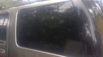 Driver Quarter Glass 119" Wb Fixed Privacy Tint Fits 07-17 Expedition 29422. Fixed Price $185.00.