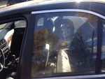 Driver Rear Door Glass Sedan Without Privacy Tint Fits 97-03 Bmw 540I 3760389. Fixed Price $35.00.