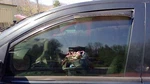 08 - 15 Nissan Titan Armada Front Door Glass Lh Driver Side Oem 80301ZQ00A. Fixed Price $113.99.