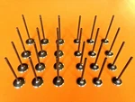 Fits 06-24 Hyundai Sante Fe Kia Sorento 3.3 3.5 3.8 Intake And Exhaust Valves. Fixed Price $72.99.
