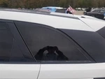 18-20 Range Rover Velar Oem Driver Left Rear Quarter Glass Window. Fixed Price $104.13.