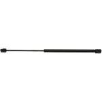 Back Glass Lift Support Strong Arm 6260. Fixed Price $51.99.