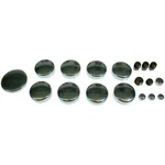 Engine Expansion Plug Kit Fits 1985-1987 Pontiac Grand Prix Parisienne Bonnevill. Fixed Price $17.84.