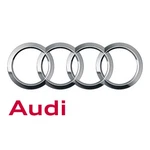 Genuine Audi Channel 5N0-881-183-A. Fixed Price $438.14.