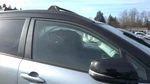 Passenger Right Front Door Glass Fits 22-24 Corolla Cross 32026202. Fixed Price $192.20.