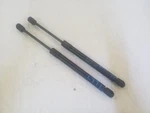 Rear Hatch Window Lift Support Struts Fits 2000-2005 Ford Excursion. Fixed Price $38.42.