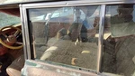 1984-1991 Jeep Grand Wagoneer Driver Left Rear Side Window Door Glass Oem Back. Fixed Price $180.41.