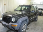 Jeep Liberty 2002 Rear Left Door Glass DD11121GT 4120. Fixed Price $82.56.