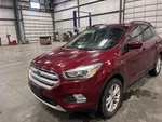 2018-2019 Ford Escape Driver Quarter Glass Privacy Tint Chrome Moulding Oem. Fixed Price $125.00.