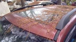 Roof Glass Fits 03-08 Forester 23298. Fixed Price $98.44.
