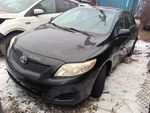 Passenger Front Door Glass North America Built Fits 09-13 Corolla 370972. Fixed Price $70.00.