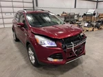 2014 Ford Escape Driver Quarter Glass Privacy Tint Chrome Moulding Oem. Fixed Price $113.00.