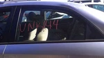 Driver Left Rear Door Glass Sedan With Solar Fits 10-13 Forte 27030929. Fixed Price $130.70.