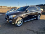 Passenger Quarter Glass 166 Type Suv Vin Fits 16-19 Mercedes Gle-class 1800053. Fixed Price $307.20.