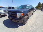 Passenger Rear Door Glass Super Cab Fits 04-14 Ford F150 Pickup 10831466. Fixed Price $155.02.