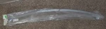 New Gm Genuine Saturn Ion Rear Retainer 22722324. Fixed Price $39.16.