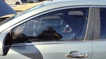 2008-2012 New Style Malibu Driver Left Front Side Window Door Glass Oem 15210617. Fixed Price $114.00.