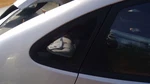 Passenger Right Quarter Glass Sedan Fits 07-10 Elantra 254951. Fixed Price $164.79.