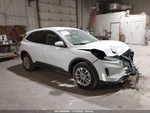 (local Pickup Only) Passenger Quarter Glass Privacy Tint Fits 20 Escape 1874823. Fixed Price $199.90.