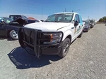 Passenger Rear Door Glass Crew Cab Xl Fits 15-25 Ford F150 Pickup 10899357. Fixed Price $149.02.