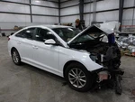 2018-2019 Hyundai Sonata Right Passenger Quarter Glass Oem. Fixed Price $95.00.