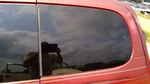 Driver Left Quarter Glass With Privacy Tint Fits 99-02 Villager 239437. Fixed Price $164.79.
