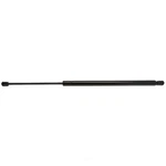 Liftgate Support Strong Arm 4202. Fixed Price $45.99.