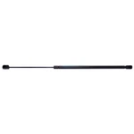 Back Glass Lift Support Strong Arm 4576. Fixed Price $36.14.