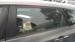 Driver Left Rear Door Glass Hatchback Fits 04-09 Mazda 31870266. Fixed Price $143.00.