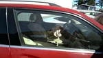Passenger Front Door Glass 204 Type GLK250 Fits 10-15 Mercedes Glk-class. Fixed Price $147.92.