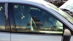 Pontiac Grand Am Passenger Right Front Side Window Door Glass Oem 22689004. Fixed Price $124.69.